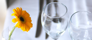 Flower and glasses